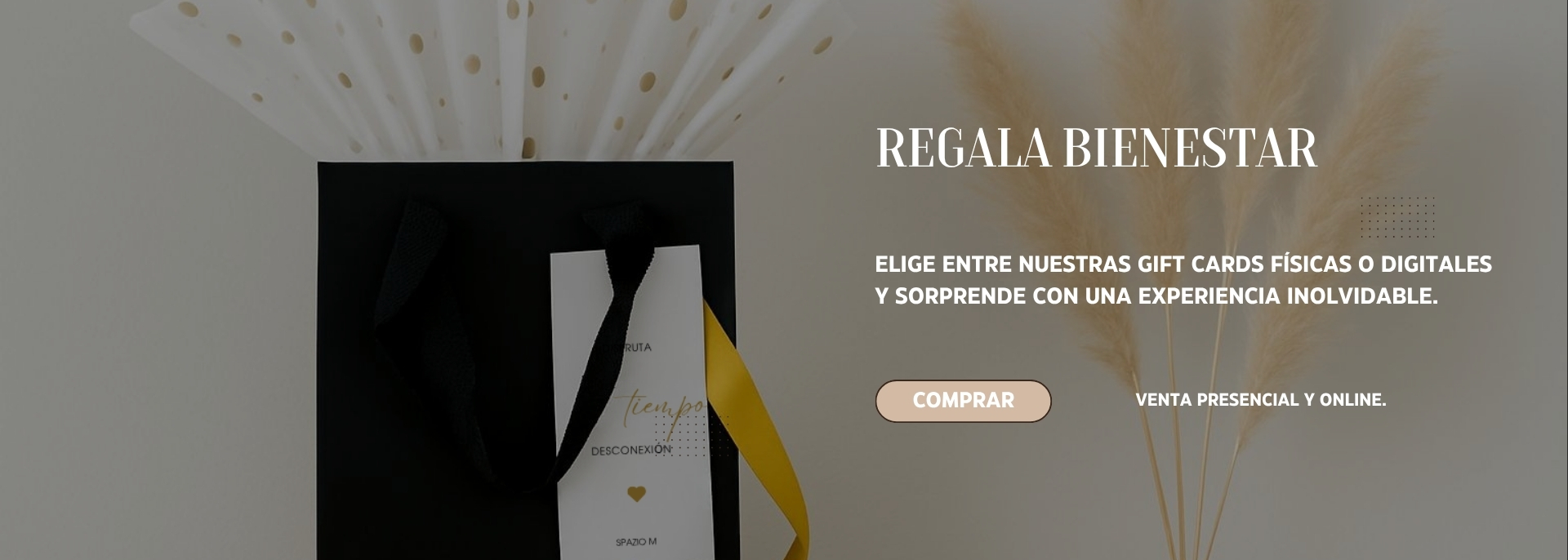 Limpiezas faciales profundas en Providencia con protocolos Casmara – Spazio M