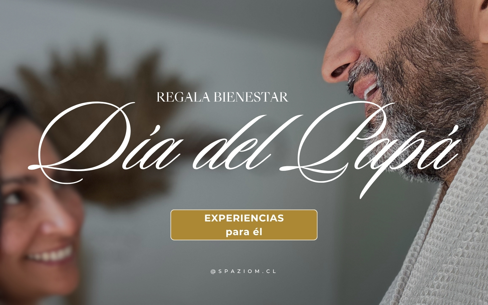 Limpiezas faciales profundas en Providencia con protocolos Casmara – Spazio M