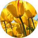 Alejandra Escobar profile picture