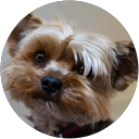 Karin Mesecke profile picture